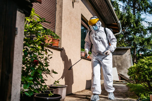 Best Bed Bug Extermination  in East Hazel Crest, IL