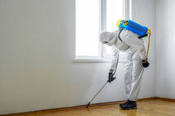 Best Exterminator Services  in East Hazel Crest, IL