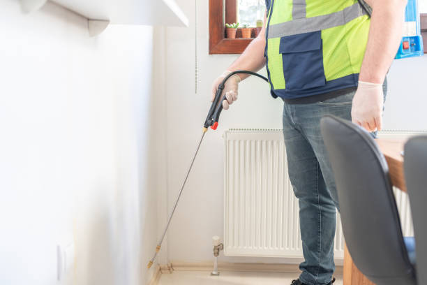Wildlife Control Services in East Hazel Crest, IL