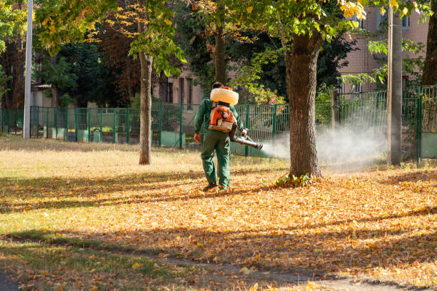Trusted East Hazel Crest, IL Pest Control Experts